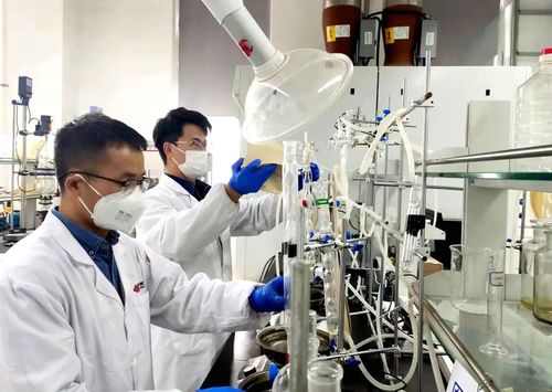 國家能源集團PAO基礎油成套技術成功填補國內技術空白